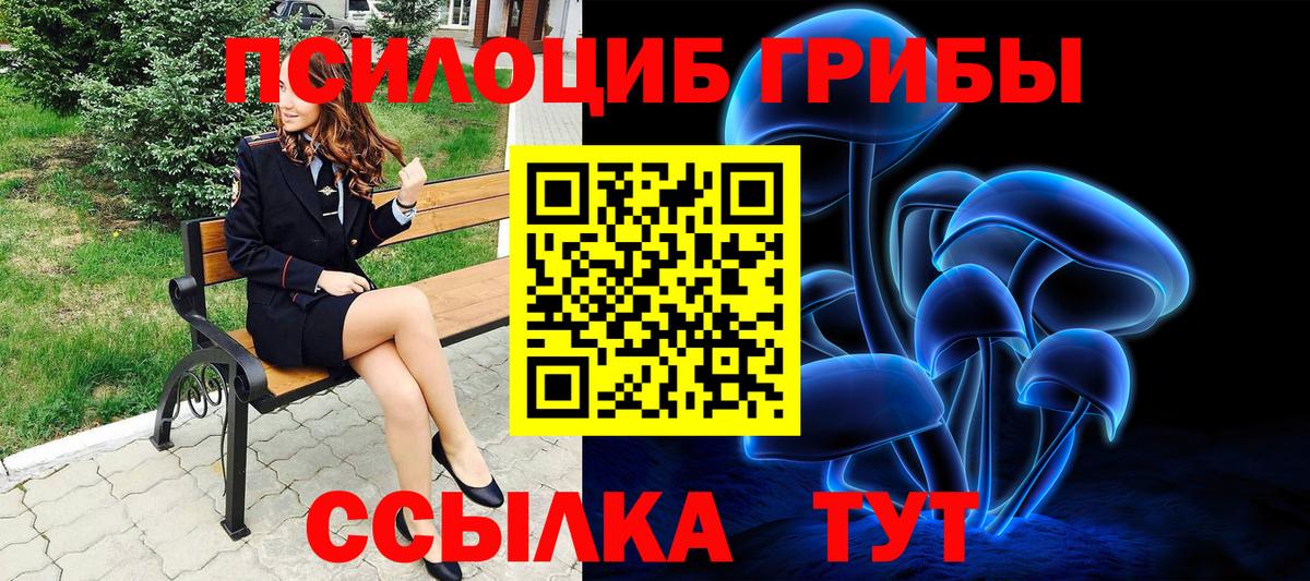 Дедовск  Галлюциногенные грибы прущие грибы  Вход с VPN 